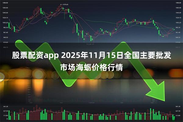 股票配资app 2025年11月15日全国主要批发市场海蛎价格行情